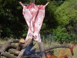 Asado 2011 06
