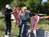 Asado 2011 12