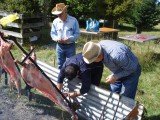 Asado 2011 13